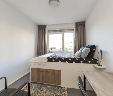 Studio Limapad 374, Utrecht - À Louer - Foto 6