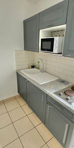 Location Appartement 1 pièce 19m² - Photo 4