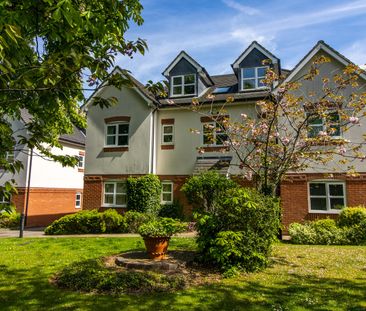 Mill View, Anstey - Photo 5