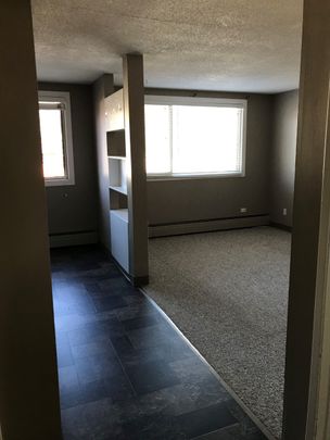 1BDRM/1BATH Apartment - 1017 AVE C N - Close to SASK POLYTECH - Photo 1