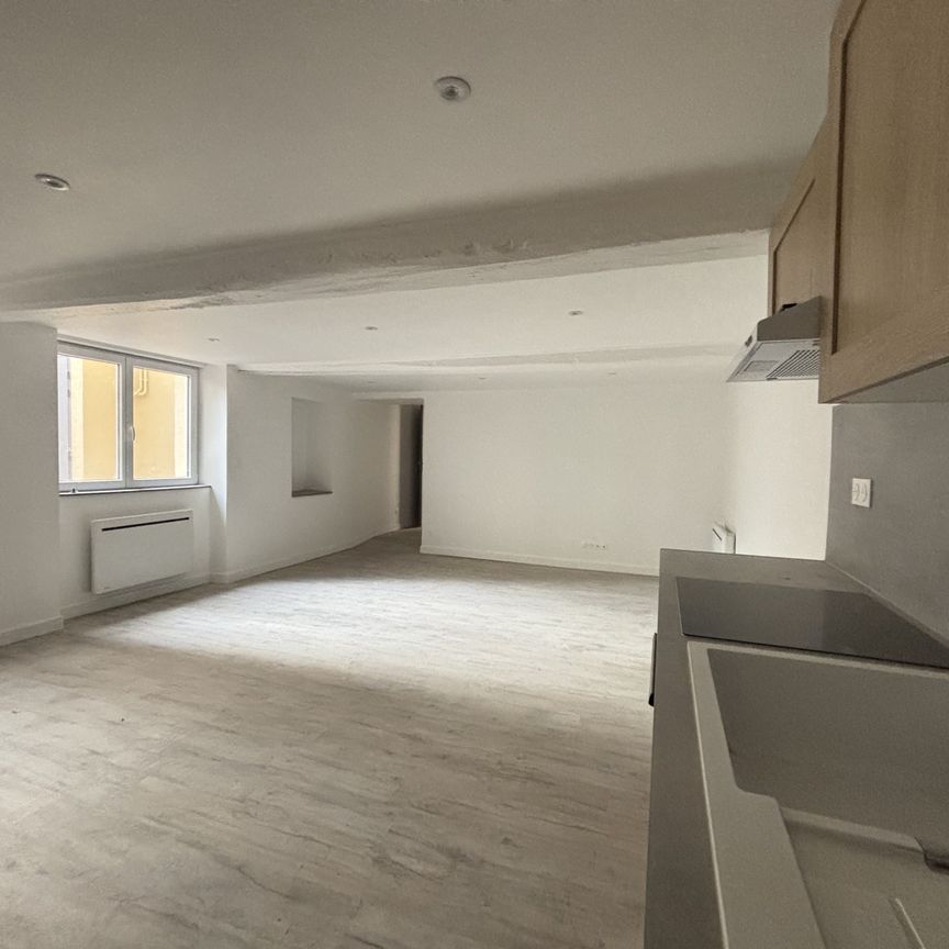 Location Appartement 2 pièces 51m² CHARLIEU 42190 - Photo 1