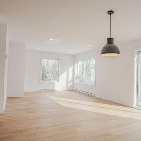 WOW! NOUVEL APPARTEMENT 4½ DISPONIBLE MAINTENANT - Photo 3