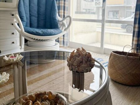 Apartamento T2 - Photo 4
