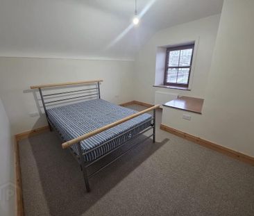 133 Rathfriland Road, Dromara, BT25 2LG - Photo 5