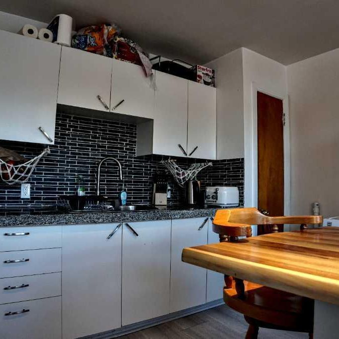 Lumineux 3 ½ Rosemont - disponible 1er novembre - Photo 1