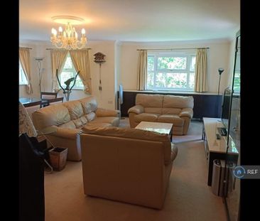 3 bedroom penthouse to rent - Photo 2