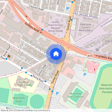 53 Womboin Road, Lambton NSW 2299