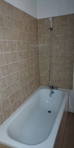 Location Appartement 1 pièce 34m² AIGUILLON 47190 - Photo 4