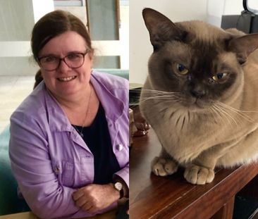 Augustine Heights - Photo 2