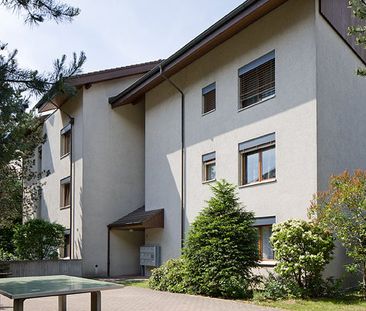 2.5 Zimmer, 81 m², 1. Stock - Photo 6