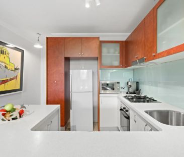 A cosmopolitan sanctuary in Sydney Park Village - Photo 2