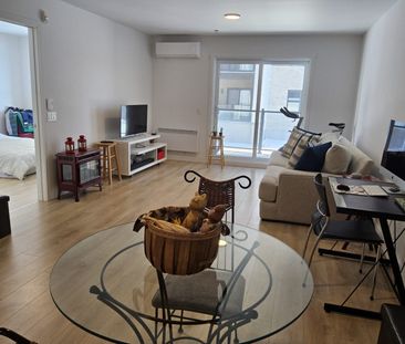 7050#104 boul des Forges Trois-Rivières - Photo 4