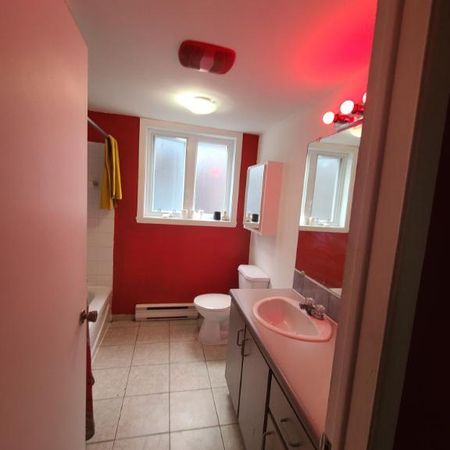 Logement 4 1/2 a partager - Photo 4