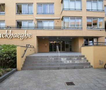 Appartement Loosduinse Uitleg, La Haye - À Louer - Photo 4
