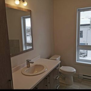 Beau 3 ½ Très Lumineux à Louer - Photo 2