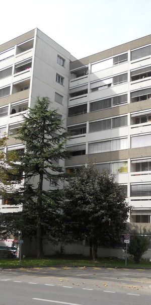 Appartement de 1 pièce au 6ème étage à Renens - Photo 1