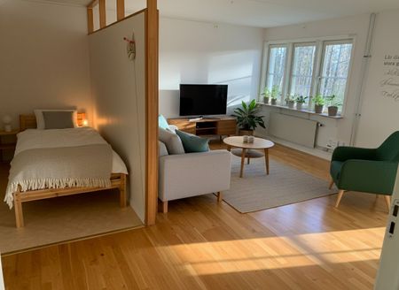 Otteshagen: Etta i lummigt område på nedre botten - Photo 3