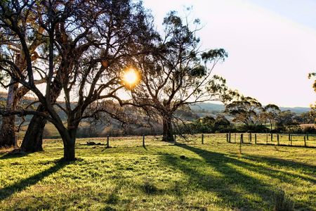 Peace & Tranquilty- Country Cottage - Photo 4