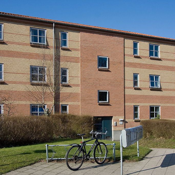 Grejsåvænget 45, 1. th. - Photo 2