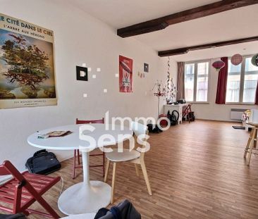 Location appartement - Lille - Photo 3