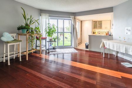 Rue Simpson, H3G 2J5, Montréal - Photo 3