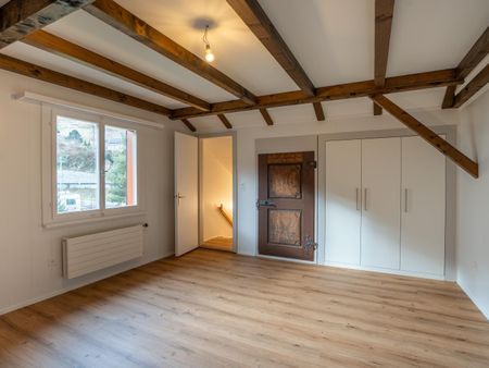 Erstvermietung nach Renovation: Kompakte Maisonette-Wohnung mit Balkon - Photo 2