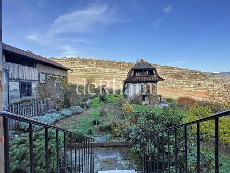 Opportunité unique à la location Loft neuf au coeur de Rivaz - Photo 3