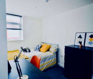 6 Beds 6 Baths - Photo 3