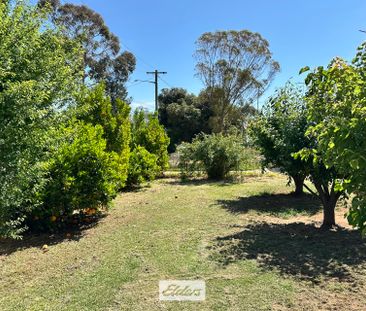 11 Devenport Street, 2717, Dareton Nsw - Photo 1