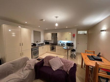 95B Eglantine Avenue, Belfast, BT9 6EX - Photo 4