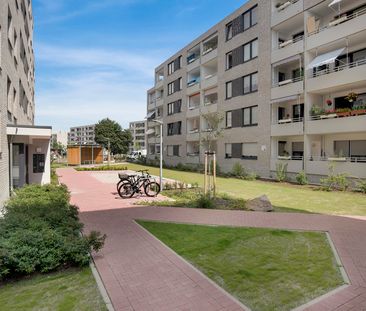 3 Zimmer Wohnung im Neubaugebiet Mannheim Franklin - Foto 2