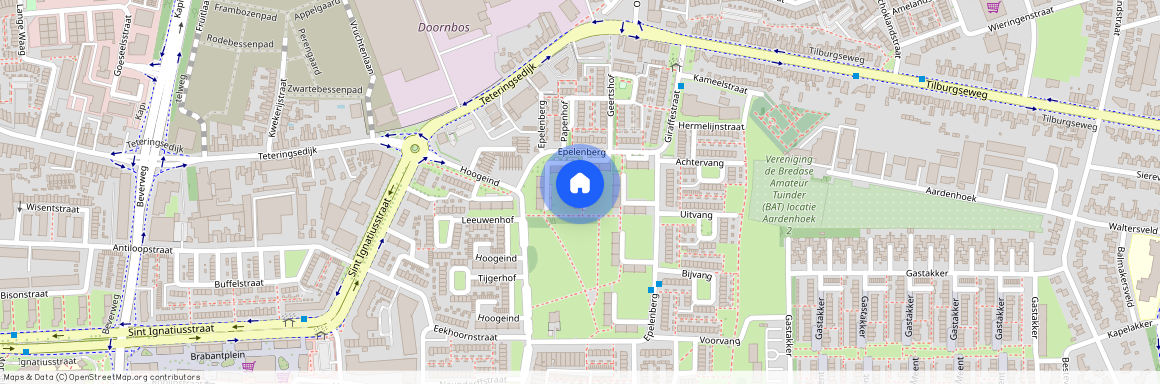 261, Epelenberg, 4817 CH, Breda