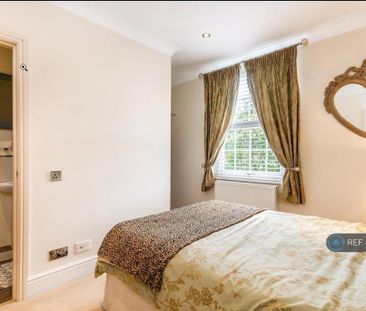 4 bedroom semi-detached house to rent - Photo 2