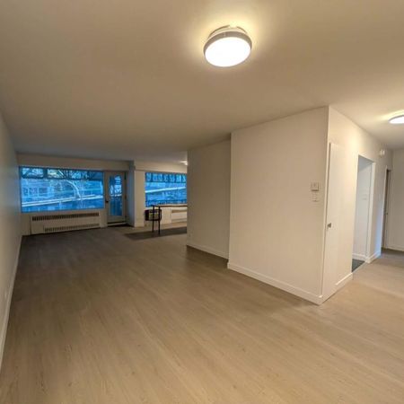 Newly renovated 5½ in Imperial House — 3 bedrooms, 2-bath (1 ensuite), new kitchen and floors, balcony, and family‑friendly amenities (Golden Sq Mile) - Photo 4