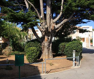 Appartement SETE 1 pièce(s) - Photo 3