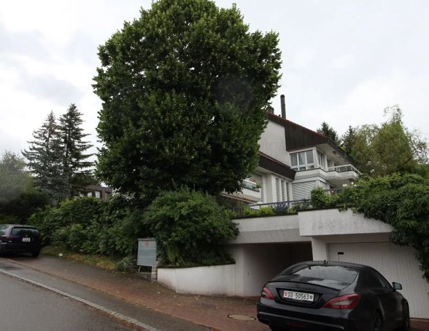 Wohnung | mit Cheminée und Gartensitzplatz - Photo 1