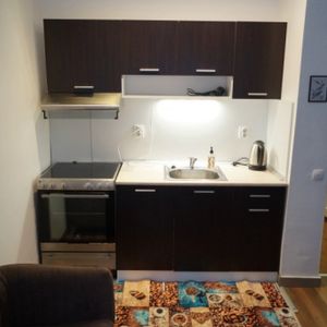 Se inchiriaza apartament cu o camera - Fotografie 2