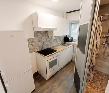 Pronájem bytu, 1+1, 30m2, Vševily - Fotografie 6