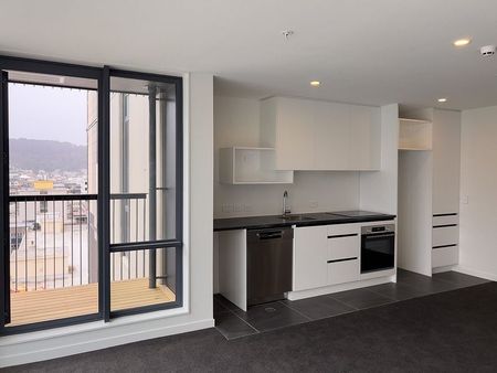 Modern North Facing Apartment in Te Aro - Photo 5