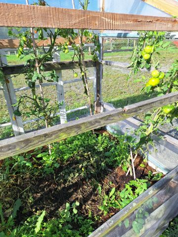 Branneby Gamla Skola, Fjällbacka - Photo 2