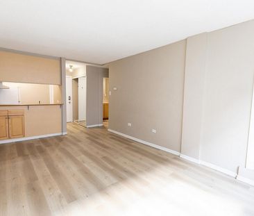 Mainstreet Plaza - Photo 6