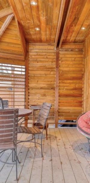 Magnifique 4 1/2 à louer Ahuntsic, cour arrière, Parc de la visitation - Photo 1