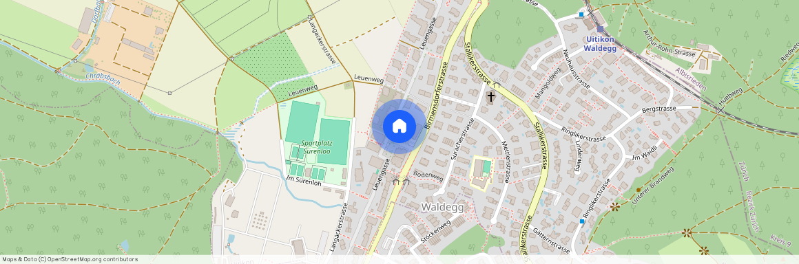 8142, Uitikon Waldegg, Leuengasse, 45