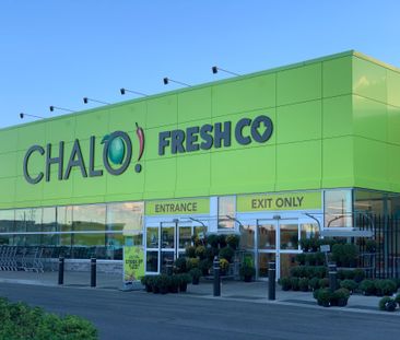 For Lease - 28 Isle Royal Terrace Unit# Bsmt, Brampton, Ontario - Photo 3