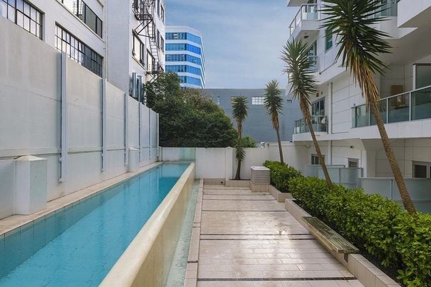 Central Auckland Studio with Pool! - Photo 1