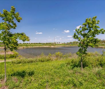 For Lease - 925 Hickory Crescent, Milton, Ontario - Photo 6