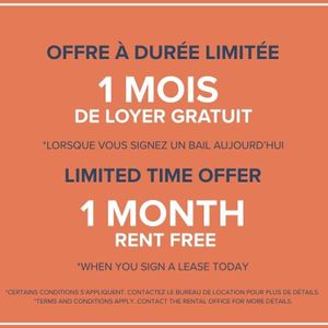 Bachelor Available At 65 East Sherbrooke Street, Montreal - 65 East Sherbrooke Street, Montréal - Photo 3