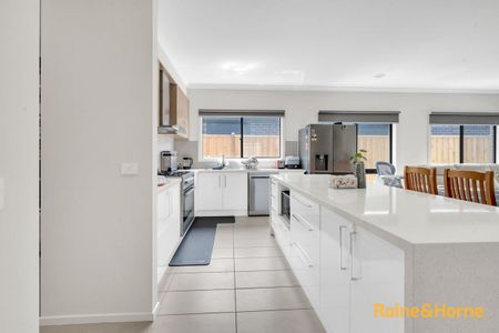 42 Shell Close, Clyde North, VIC 3978 - Photo 4