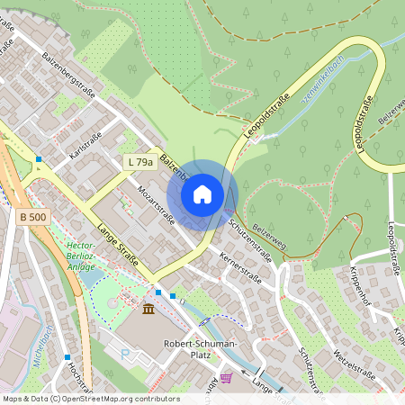 Balzenberg Straße 1, 76530 Baden-Württemberg - Baden-Baden