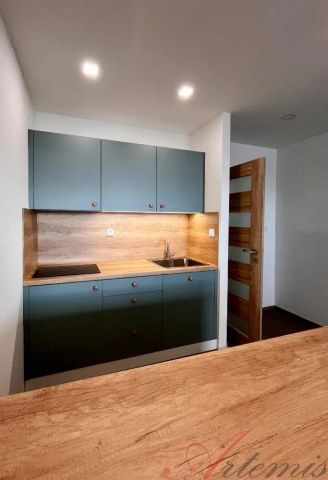 Pronájem bytu 1+kk, ulice Lechowiczova, Moravská Ostrava - Photo 5